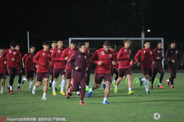adc年龄确认大驾光临大象的亮点