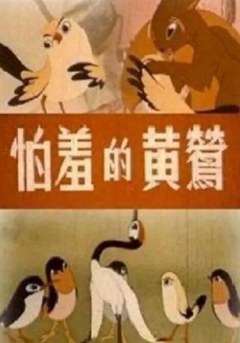 看性生活片