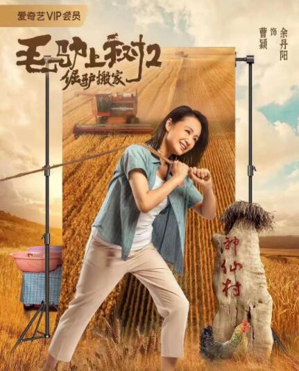 不卡在线播放