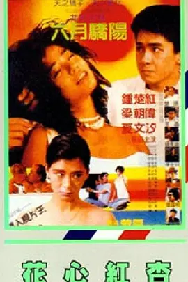 99婷婷