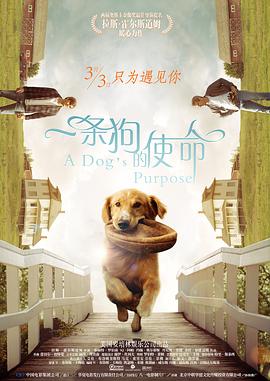 欧美综合视频在线