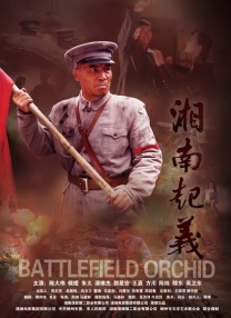 亚洲视频欧美视频