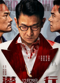 成人一a毛片免费视频