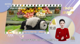 国产99在线